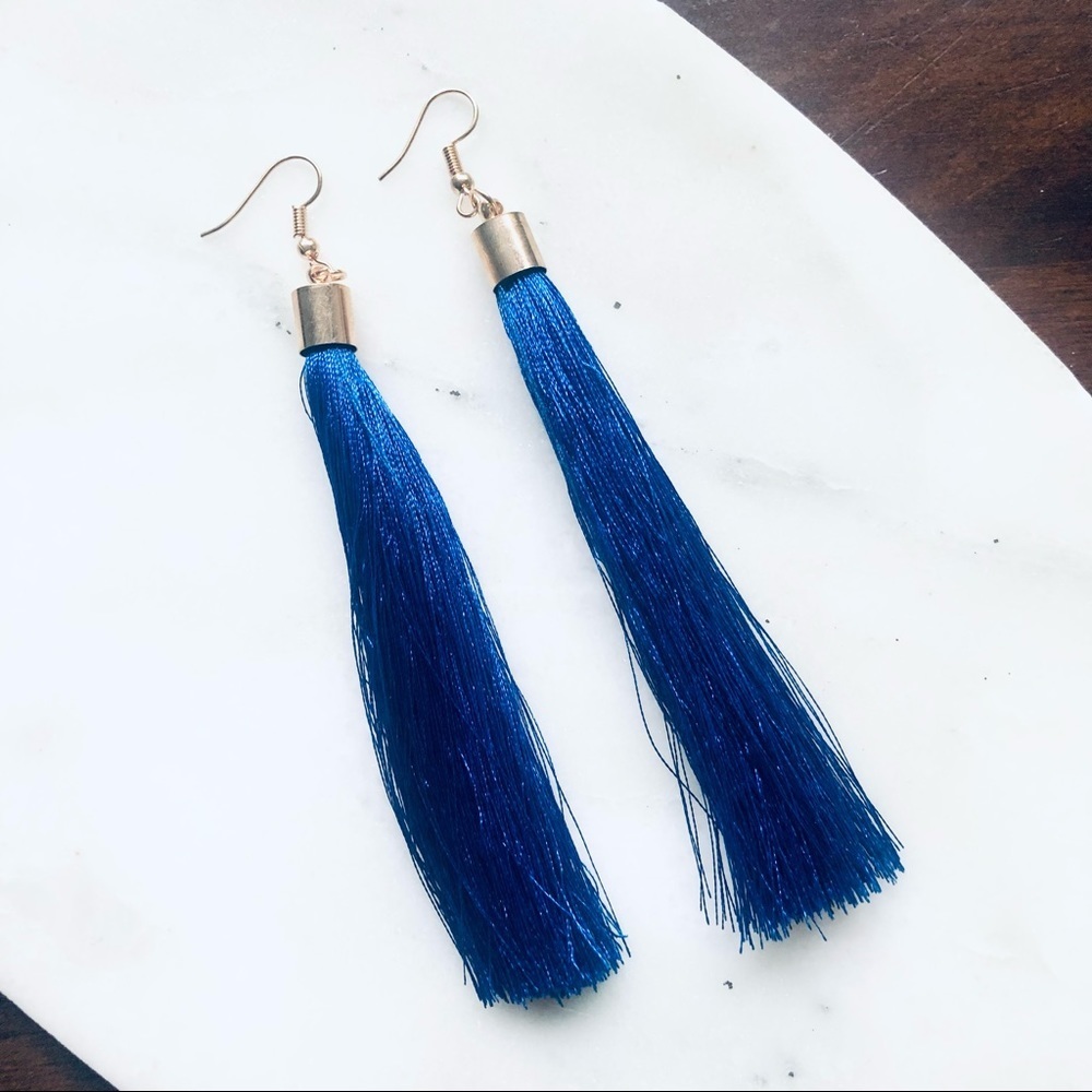 Fringe Tassel Earrings